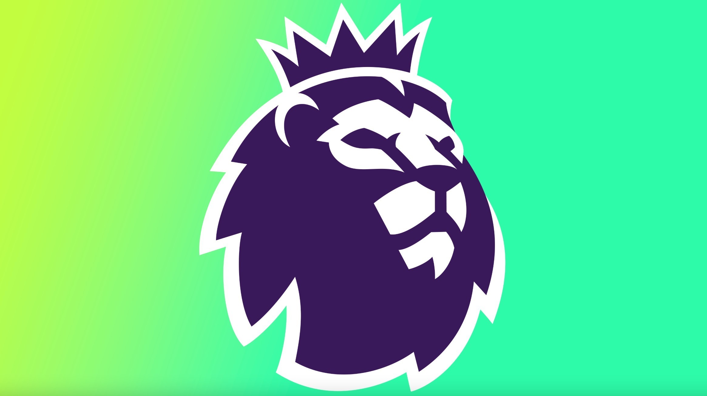 全队7人上 全队7人上